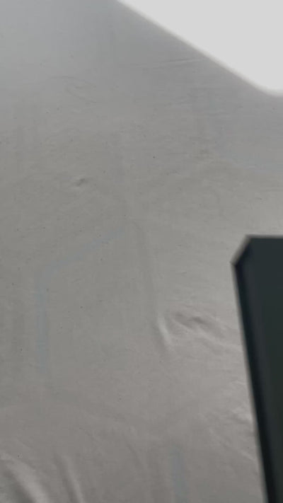 Elegant Queen - Dramatic.mp4__PID:b03675fb-1af5-4f2d-bb31-e076036173db